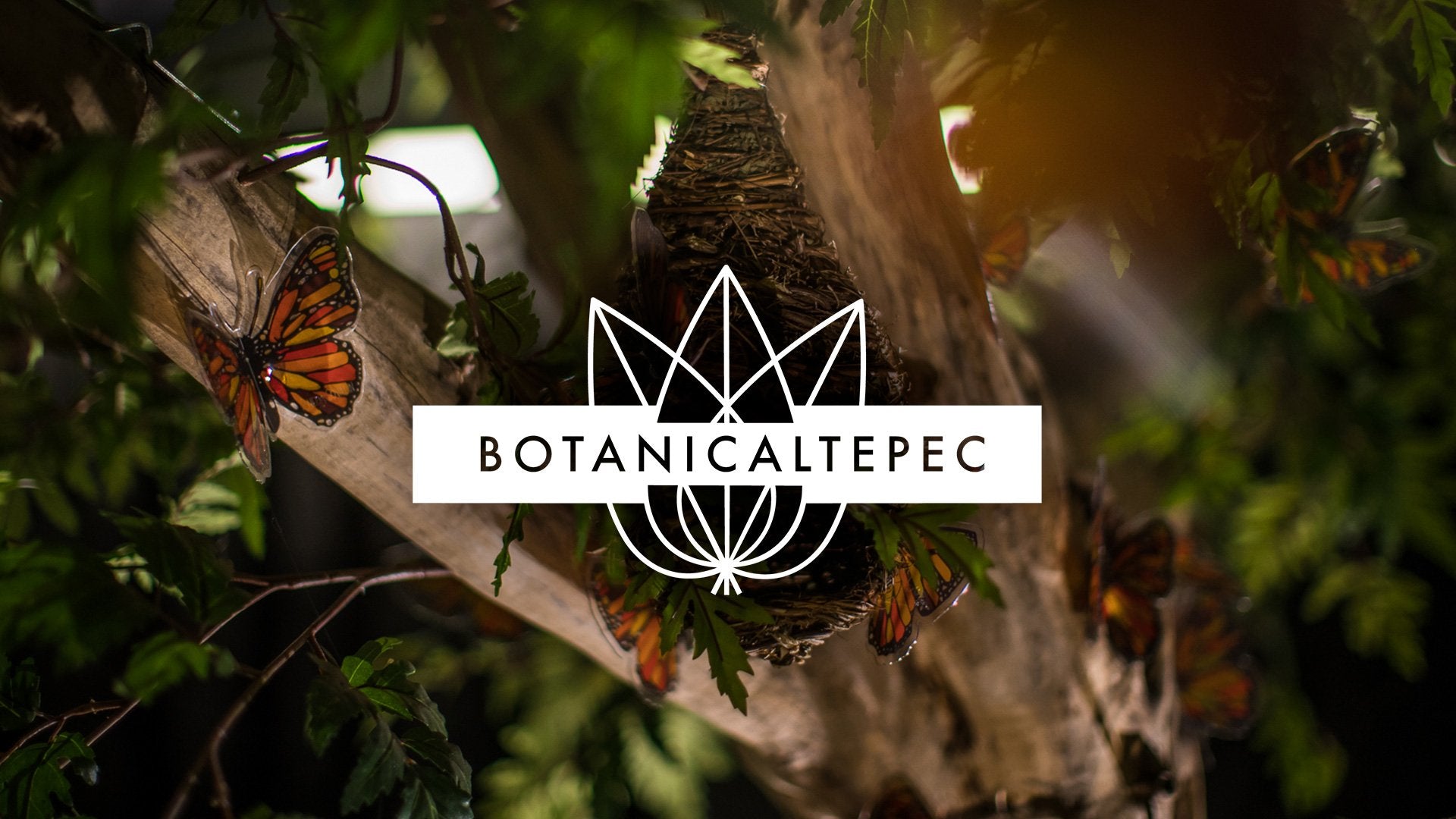 BOTANICALTEPEC