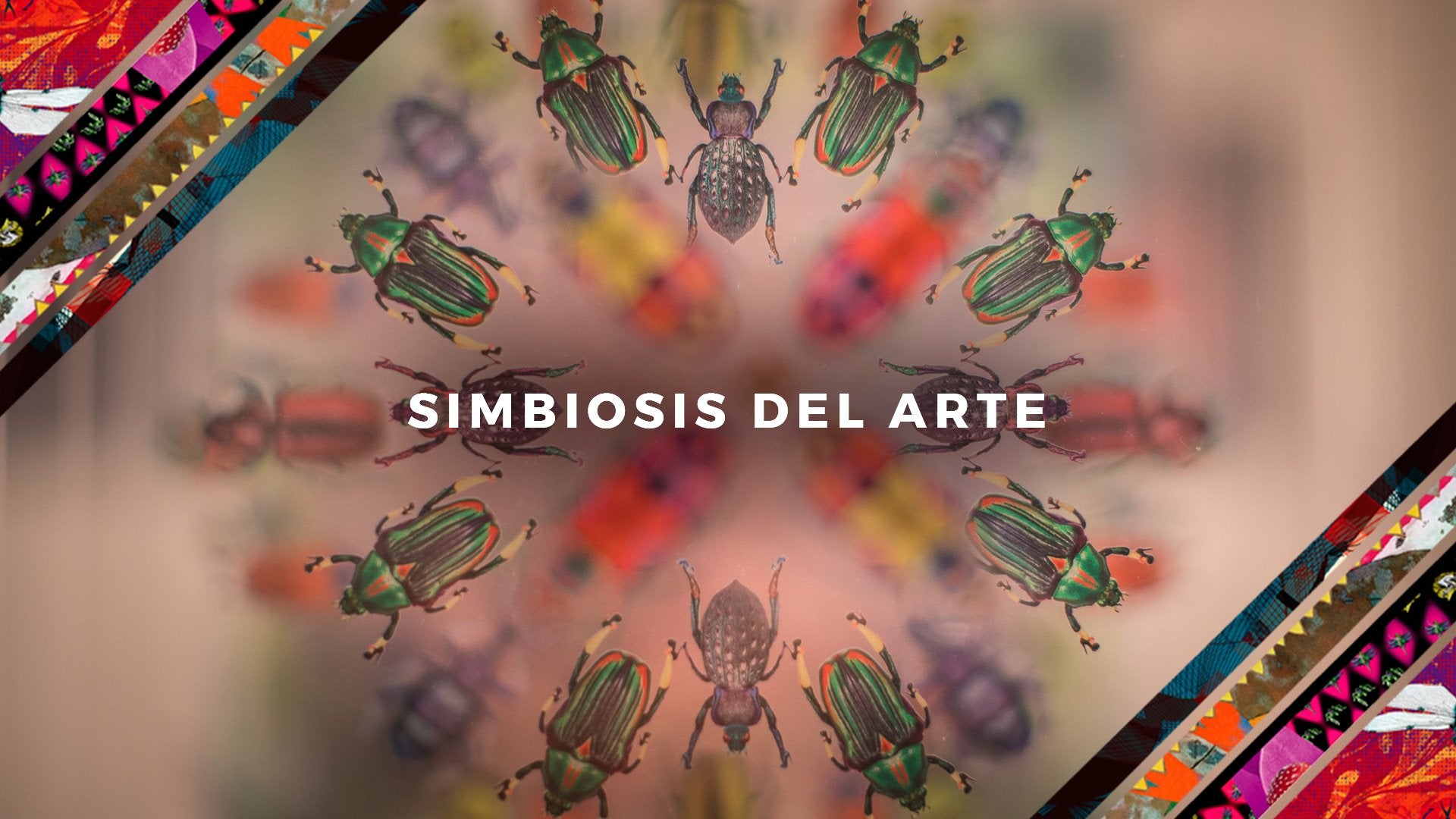 SIMBIOSIS DEL ARTE