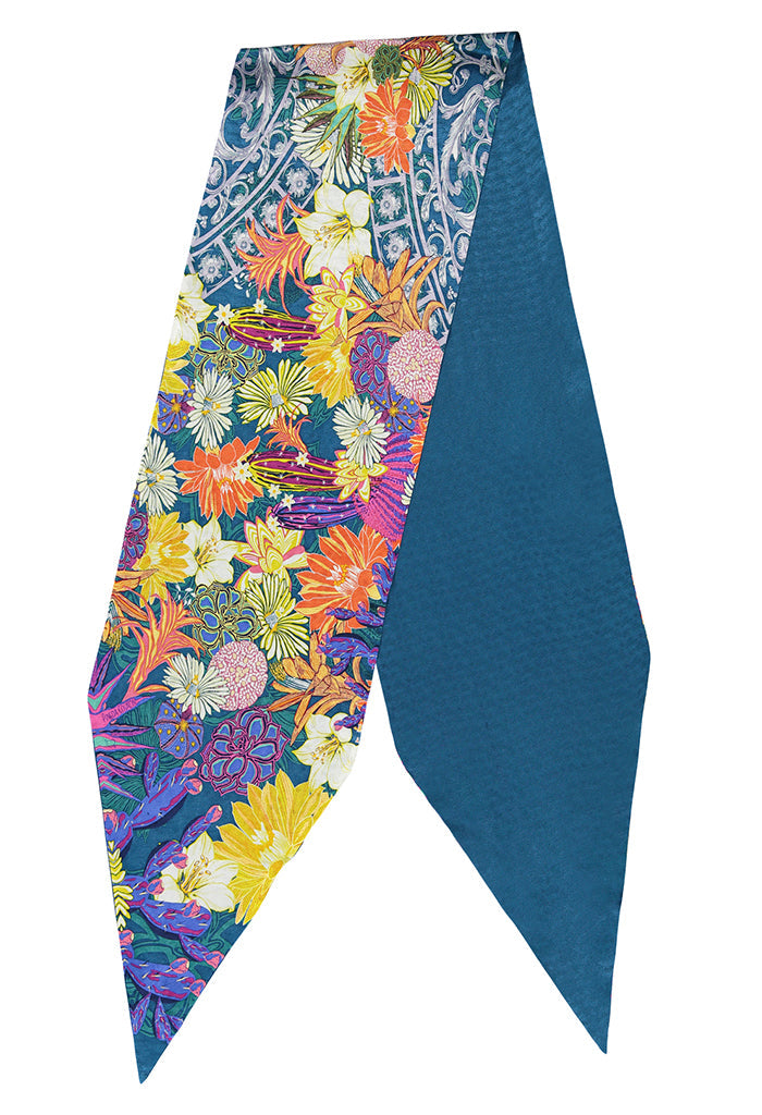 Bufanda Diagonal Cactáceas Jardín Botánico