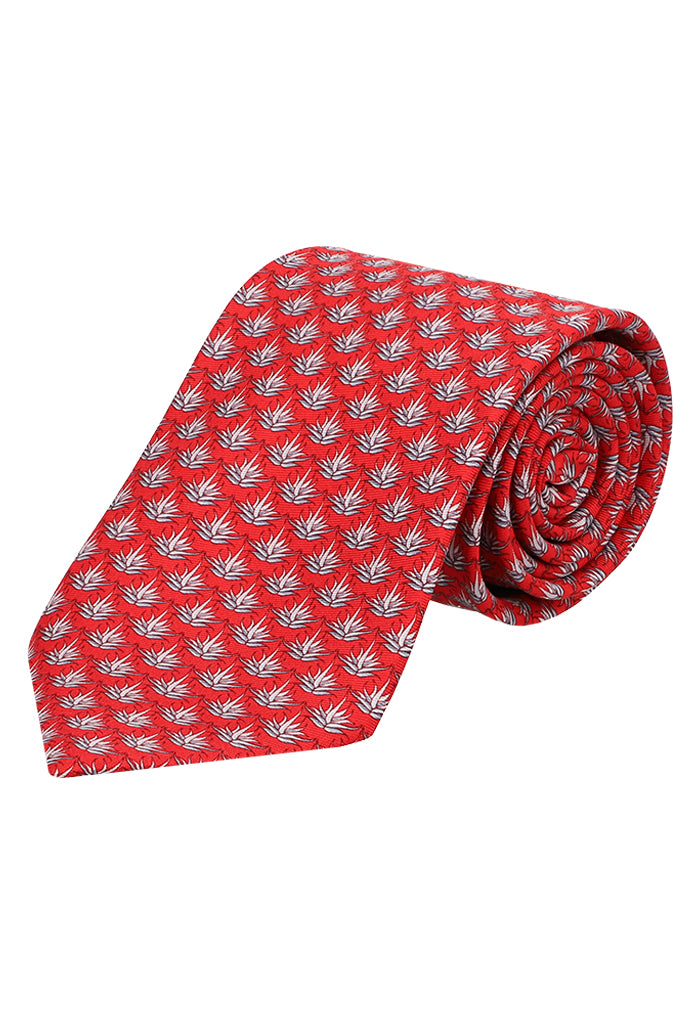 Corbata Agave-22