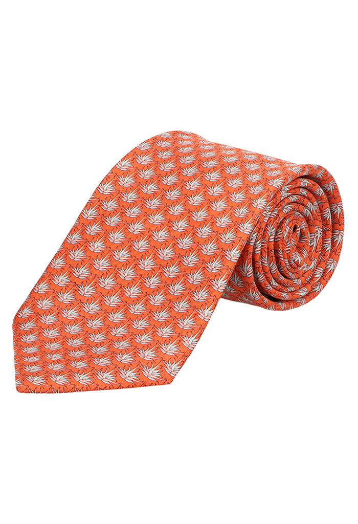 Corbata Agave-22