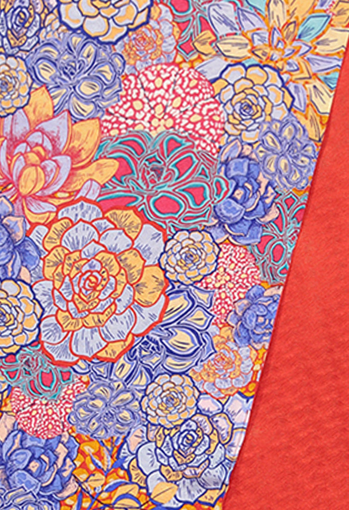 Bufanda Diagonal Suculentas Jardín Botánico