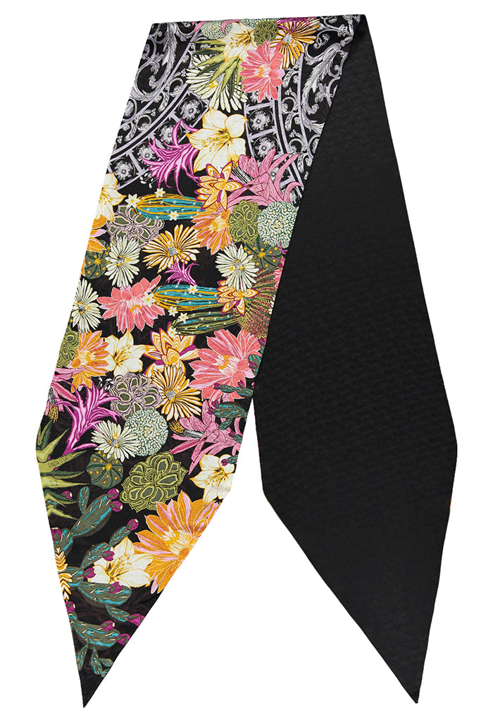 Bufanda Diagonal Cactáceas Jardín Botánico