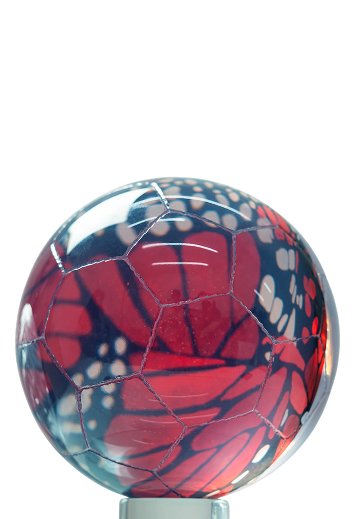 Balón Fútbol Resina / Seda Mariposa Macro