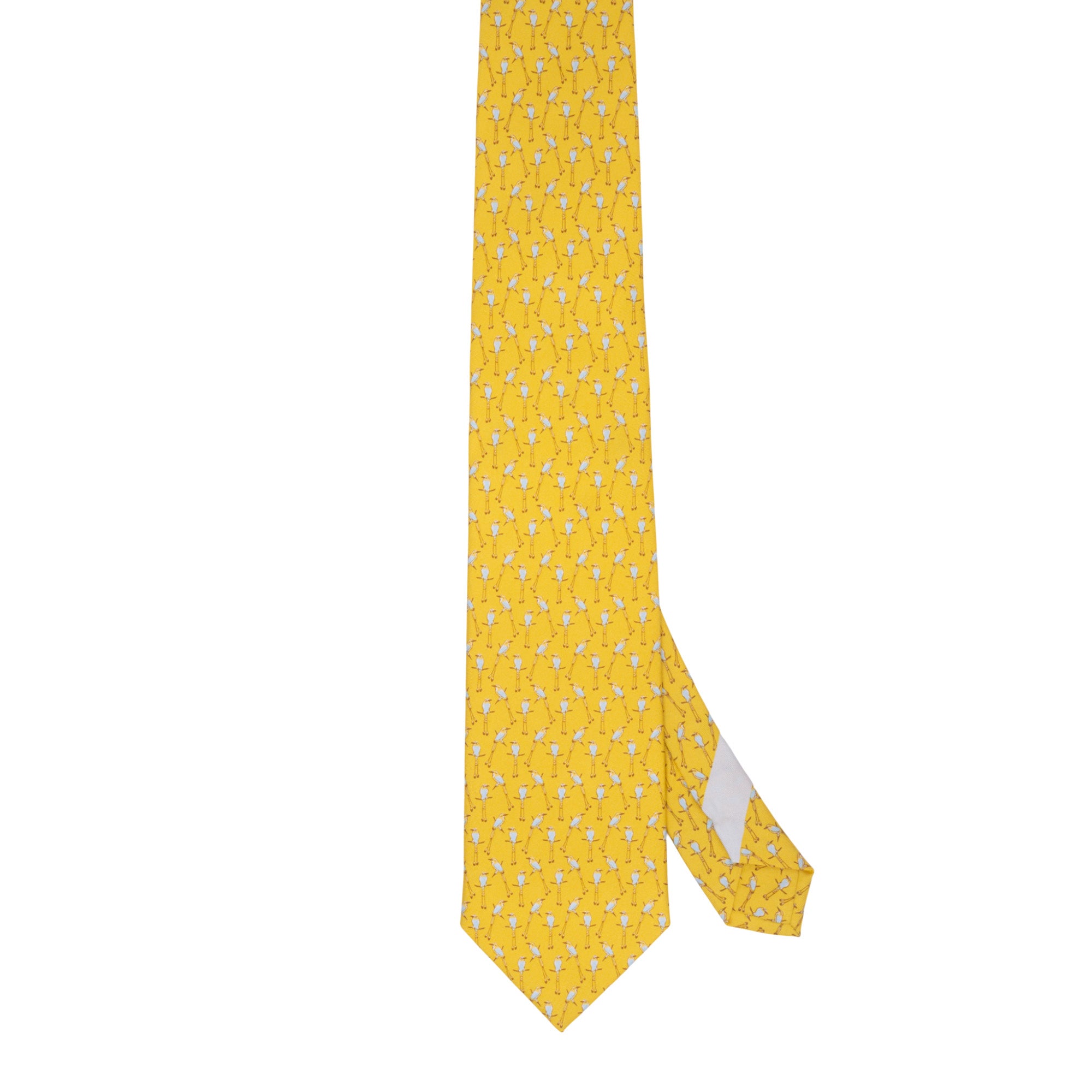 Corbata Torogoz