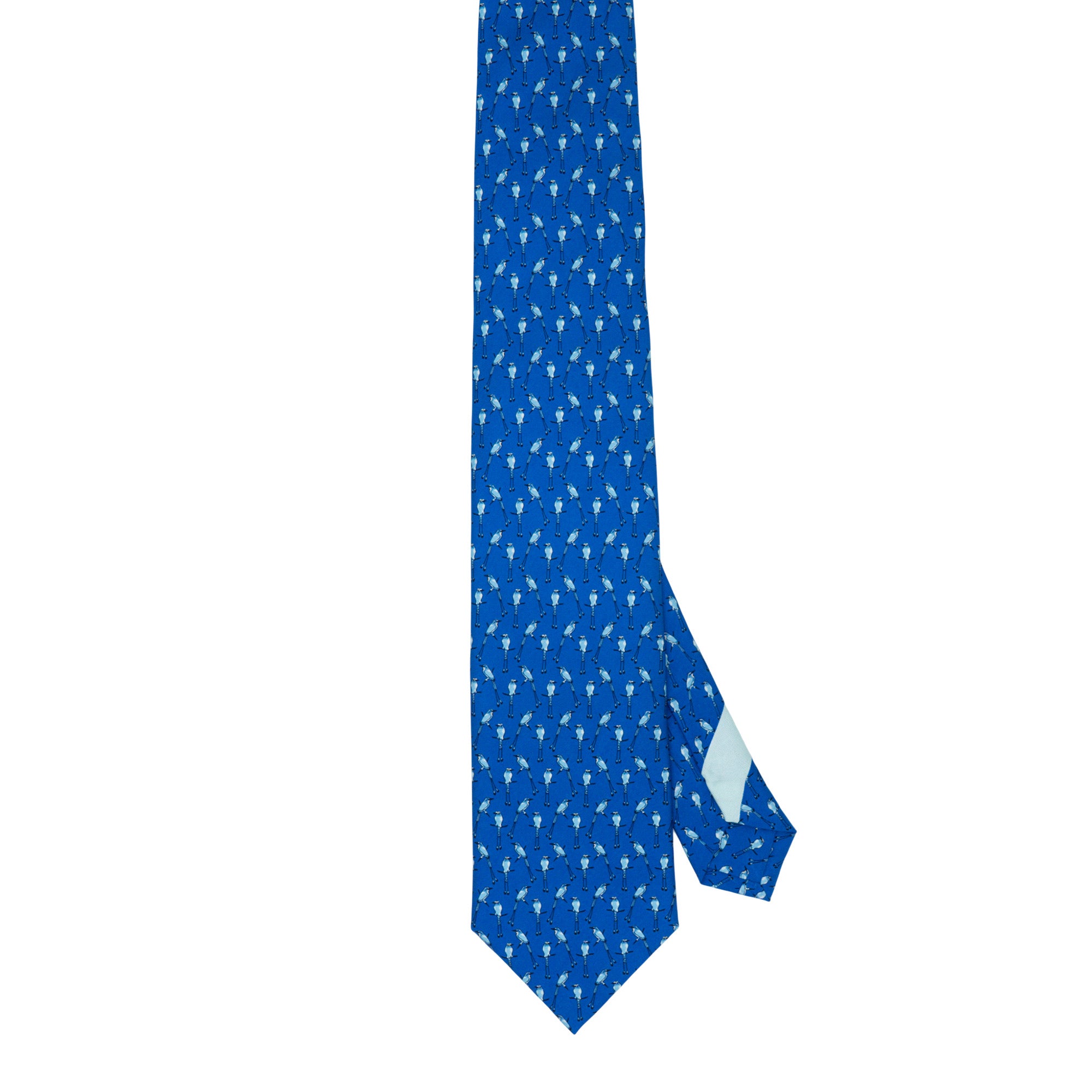 Corbata Torogoz