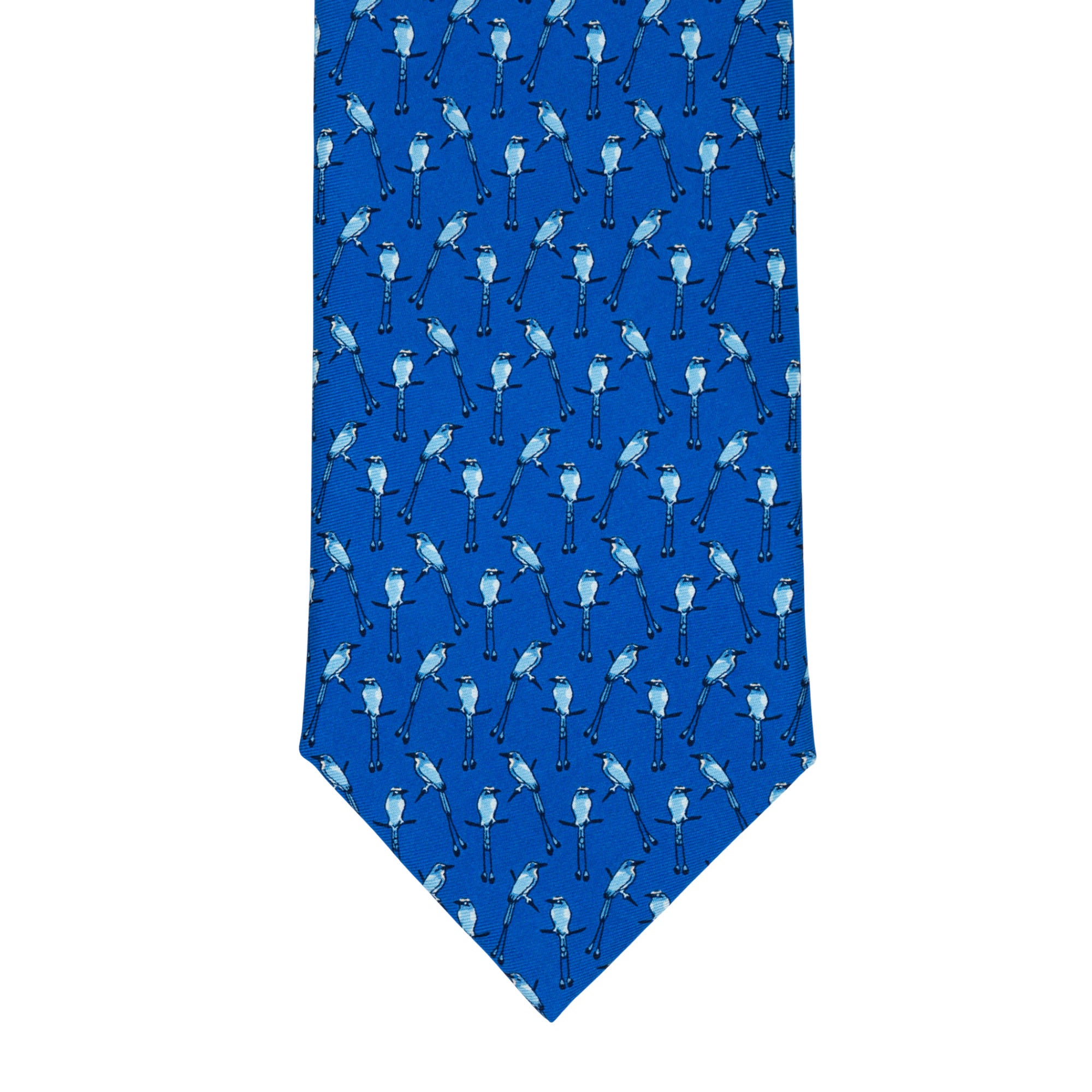 Corbata Torogoz