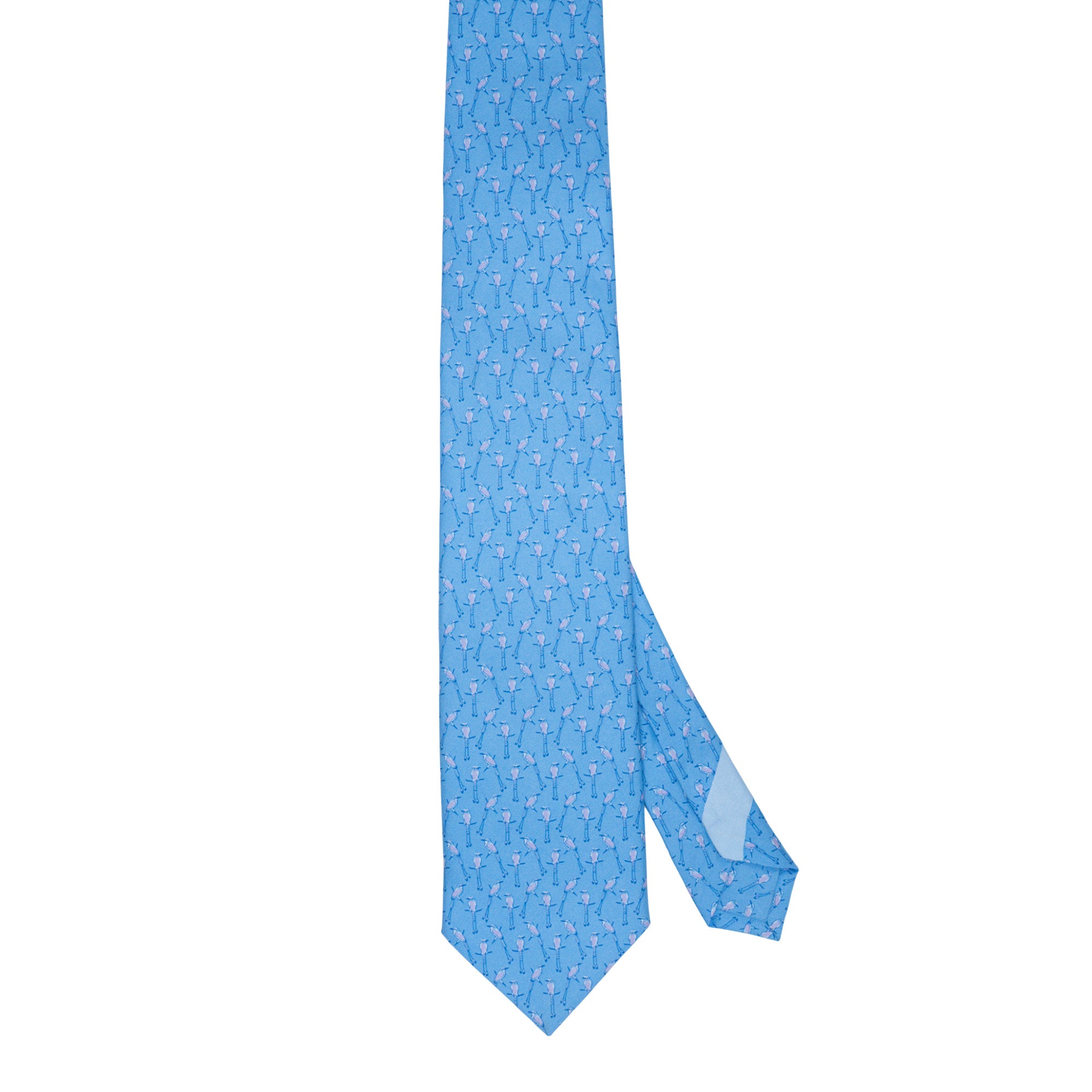 Corbata Torogoz