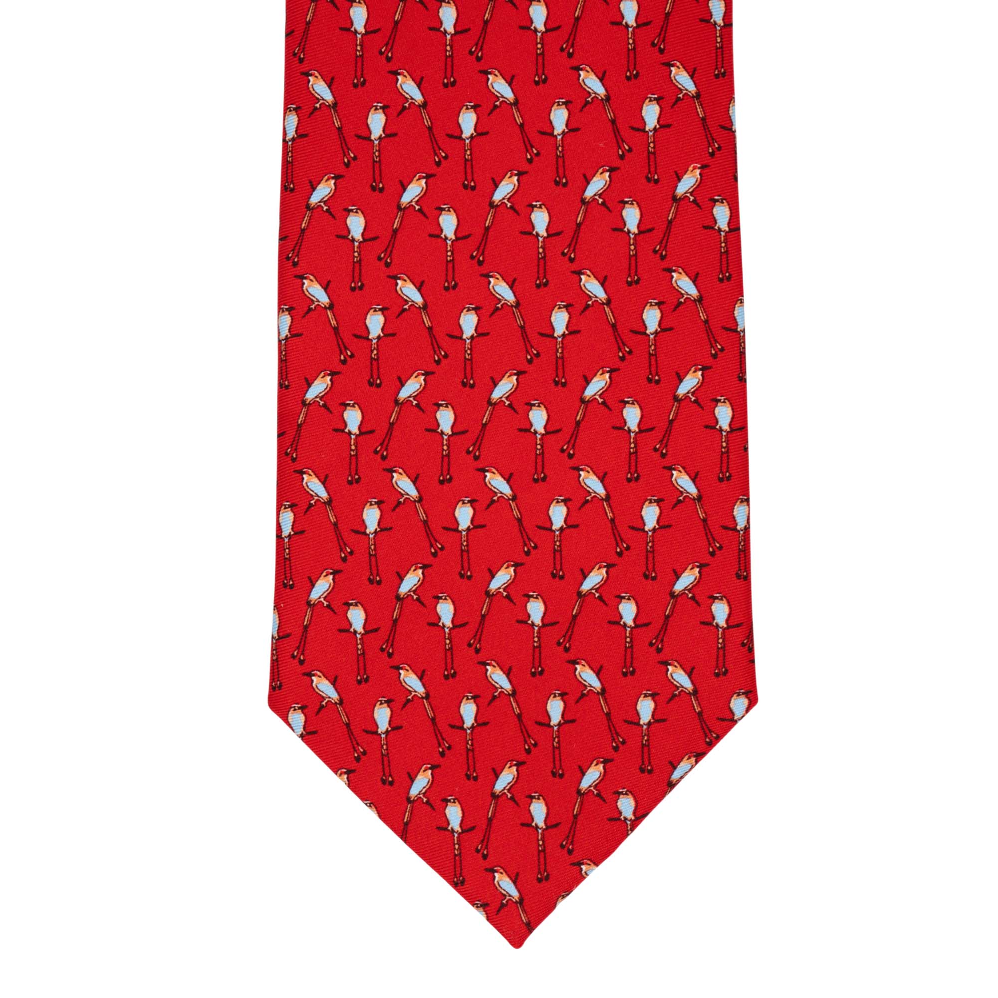Corbata Torogoz