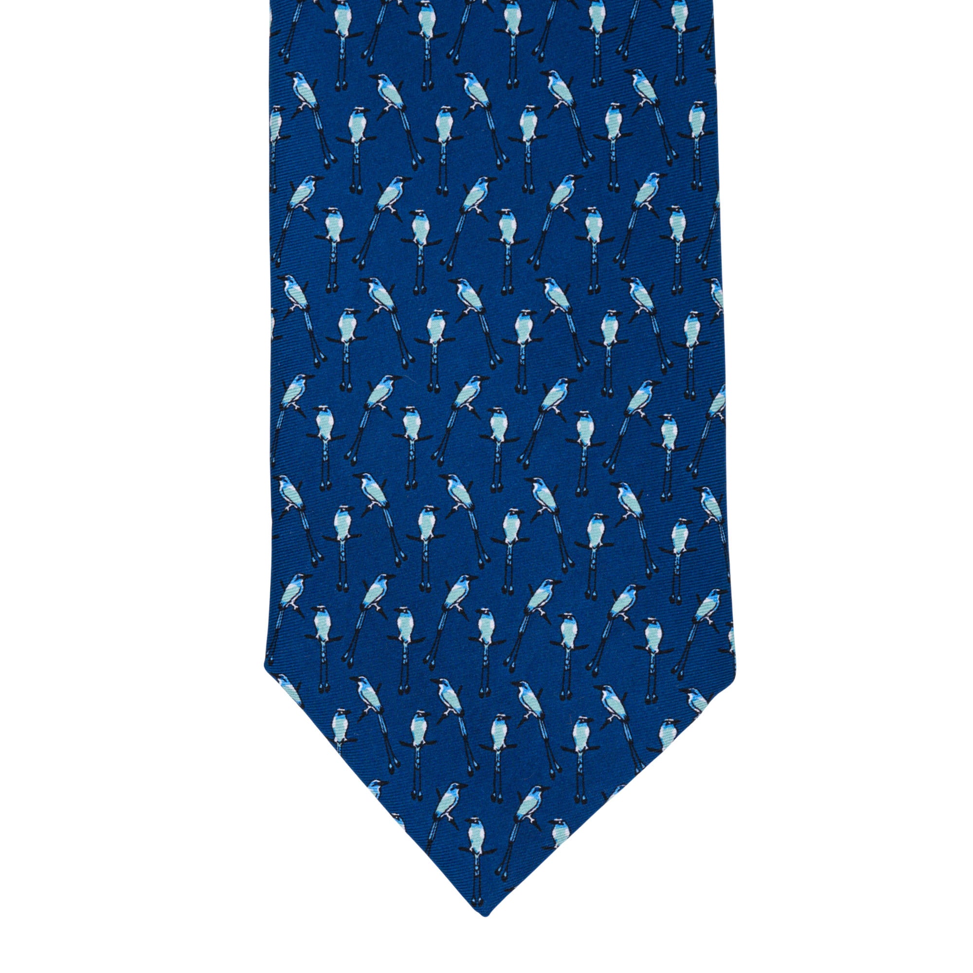 Corbata Torogoz