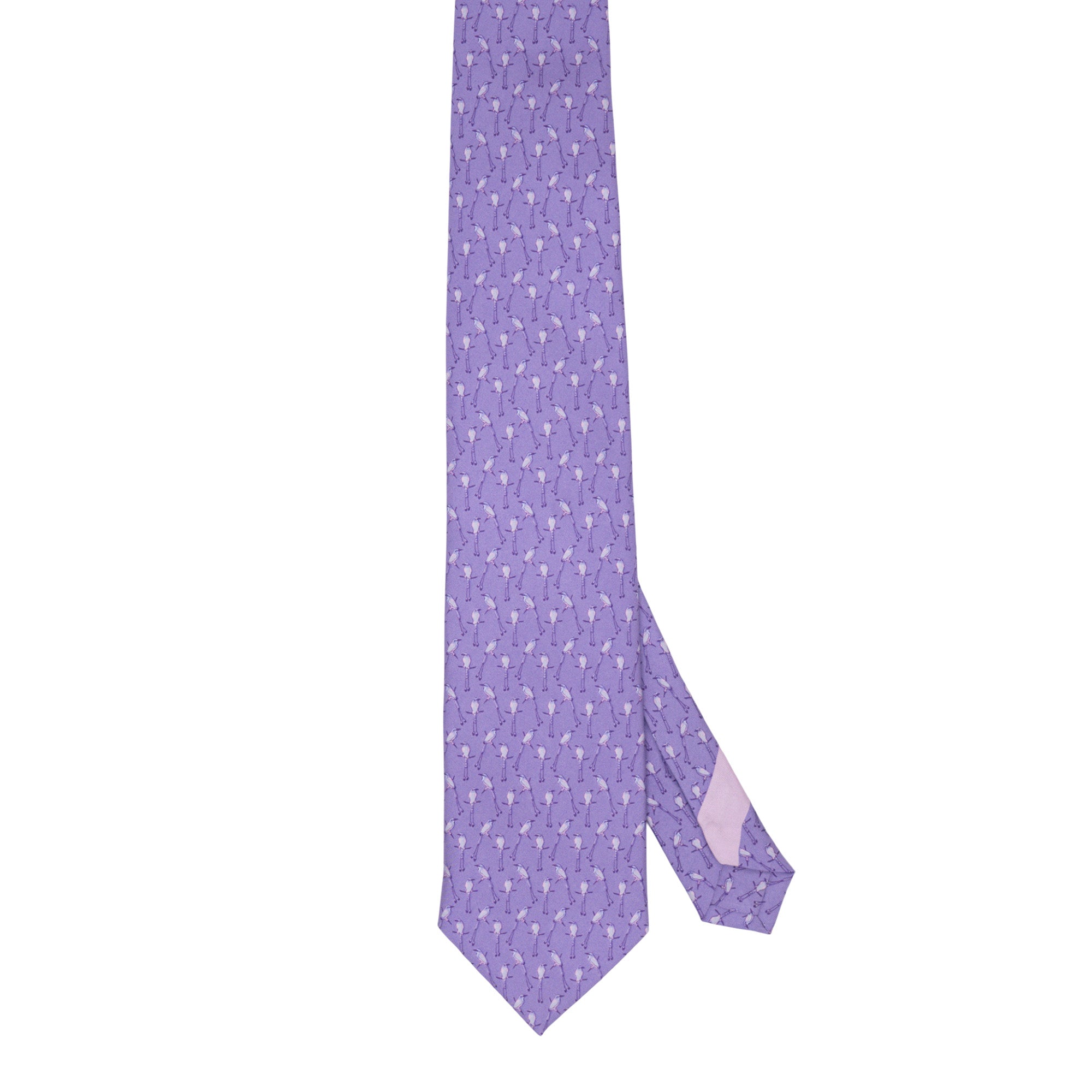 Corbata Torogoz