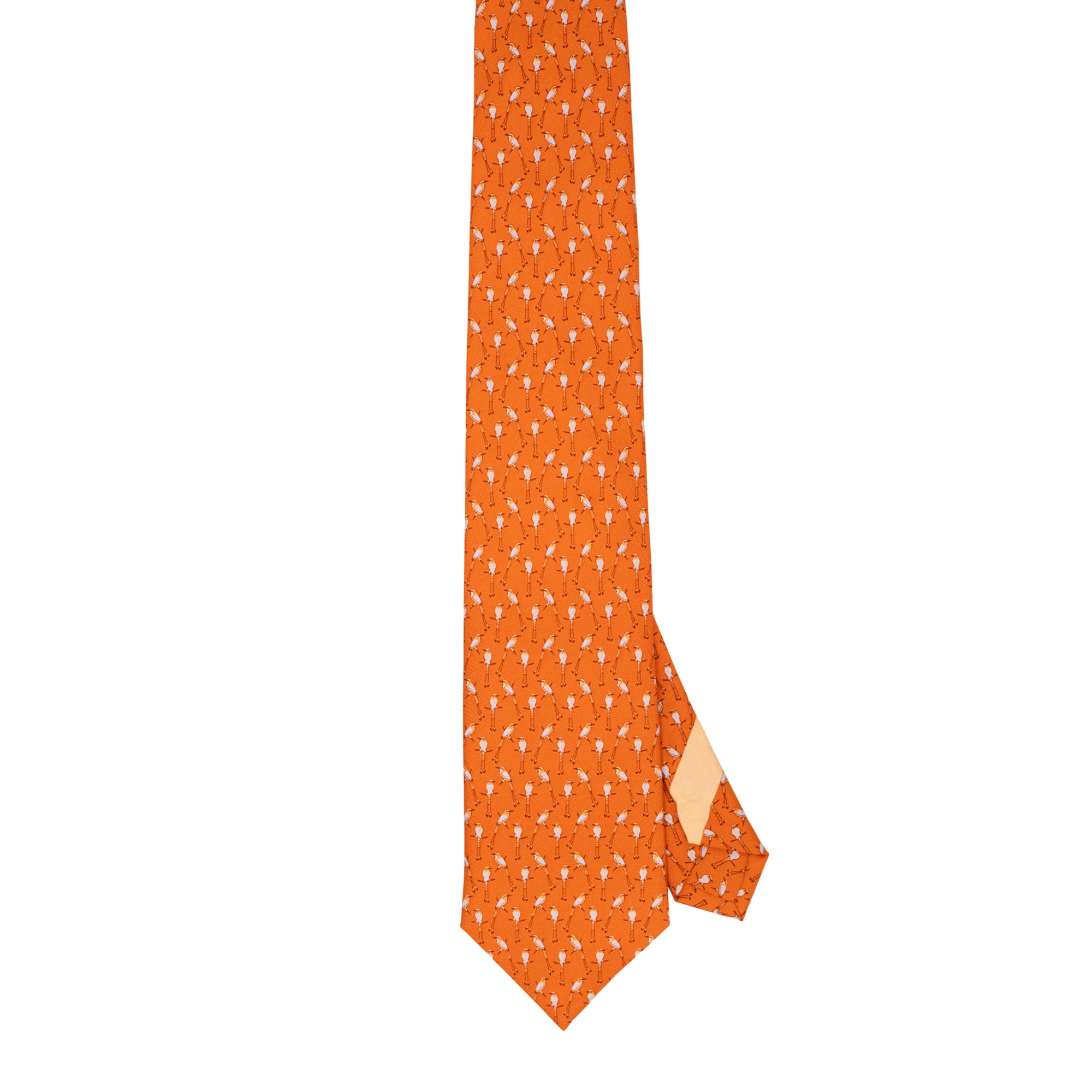 Corbata Torogoz