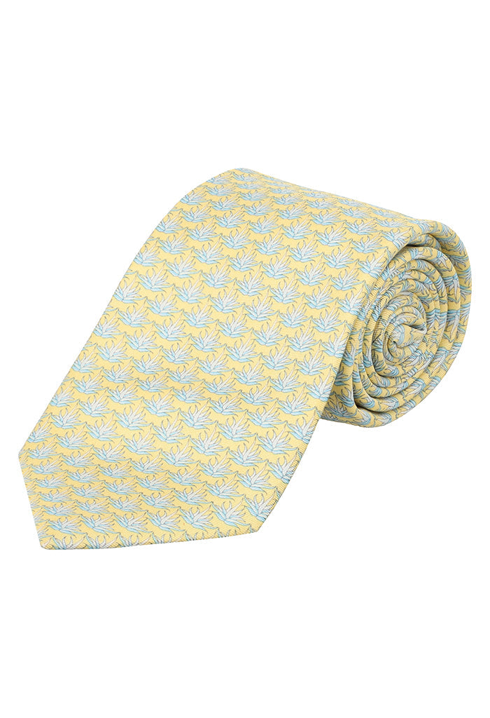 Corbata Agave-22