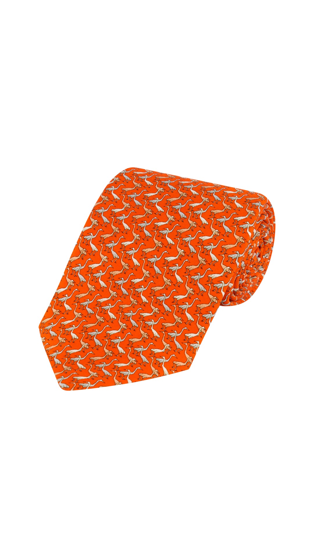 Corbata Garzas