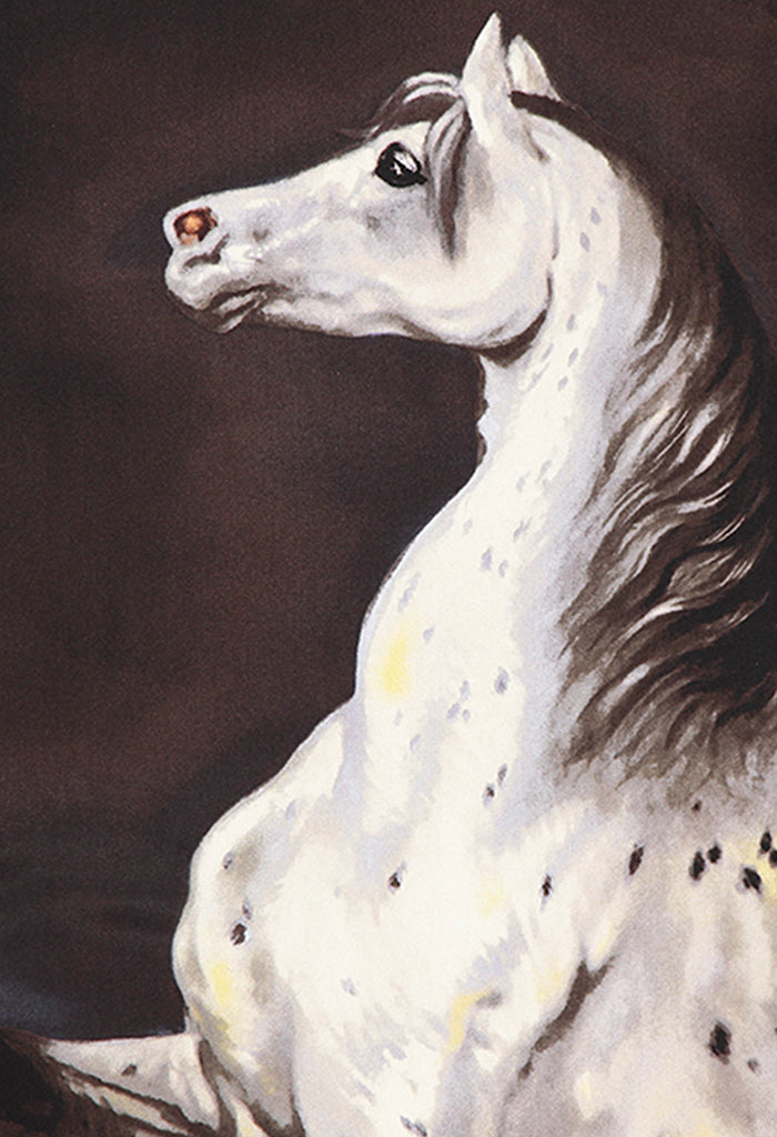 Mascada Ken Yang Caballo Negro 90 cm
