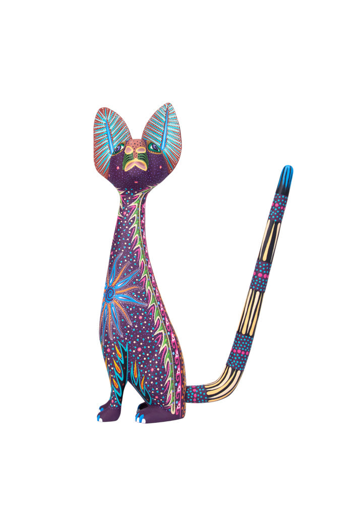 Gato Mediano Astros Morado