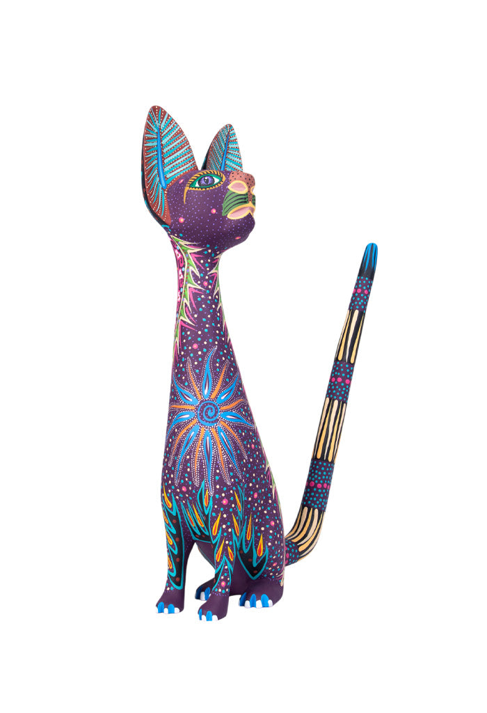 Gato Mediano Astros Morado