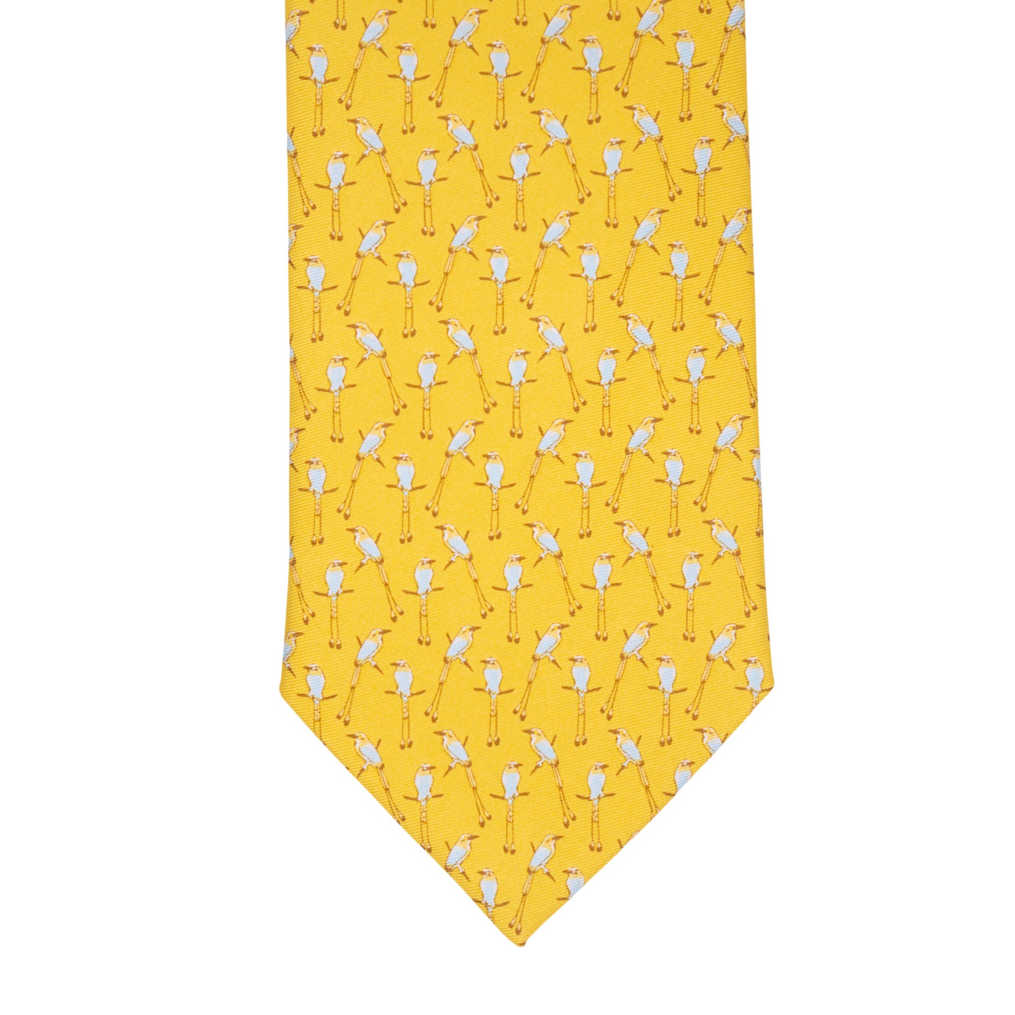 Corbata Torogoz