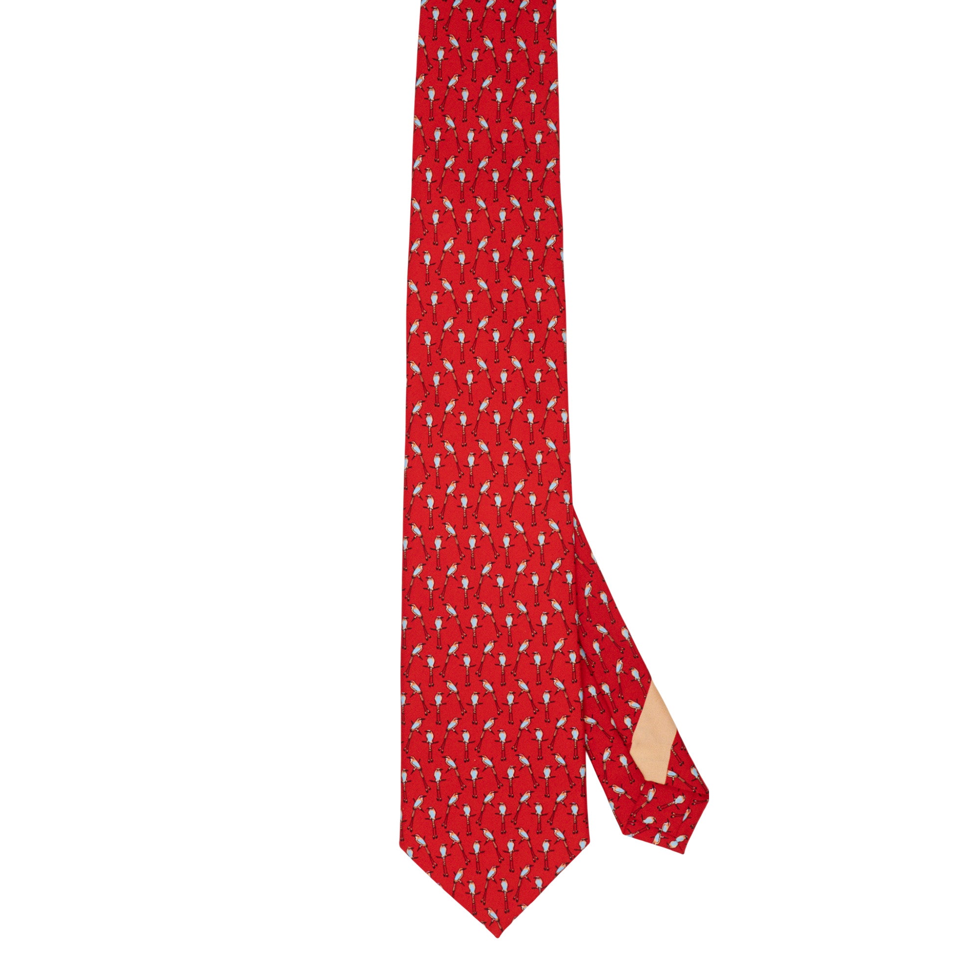 Corbata Torogoz