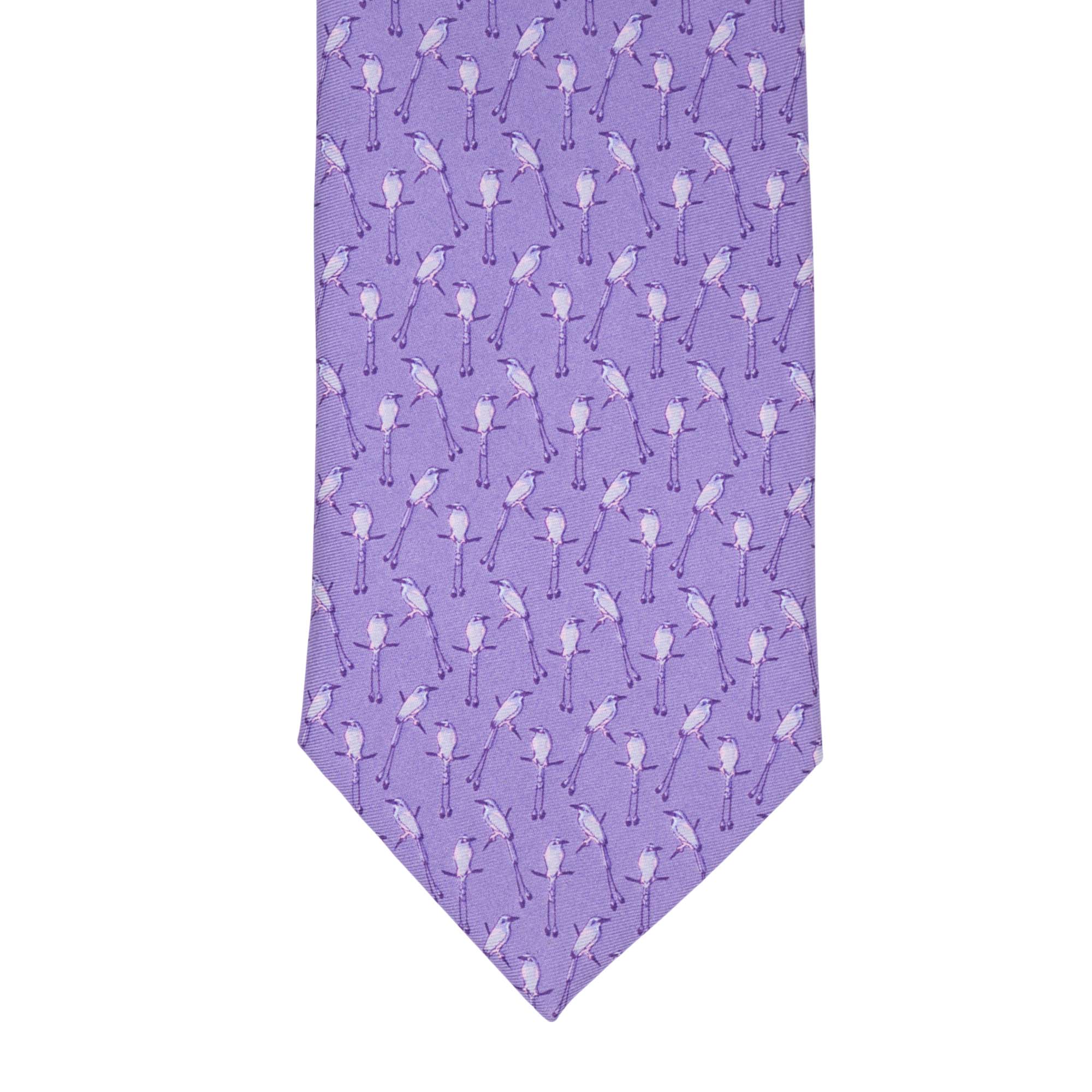 Corbata Torogoz