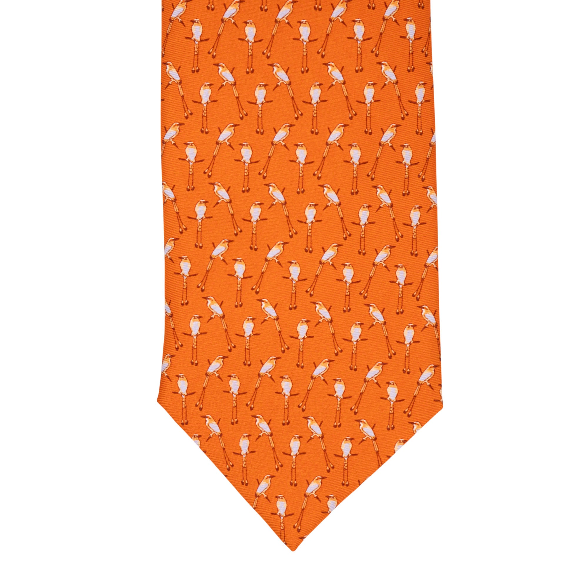 Corbata Torogoz