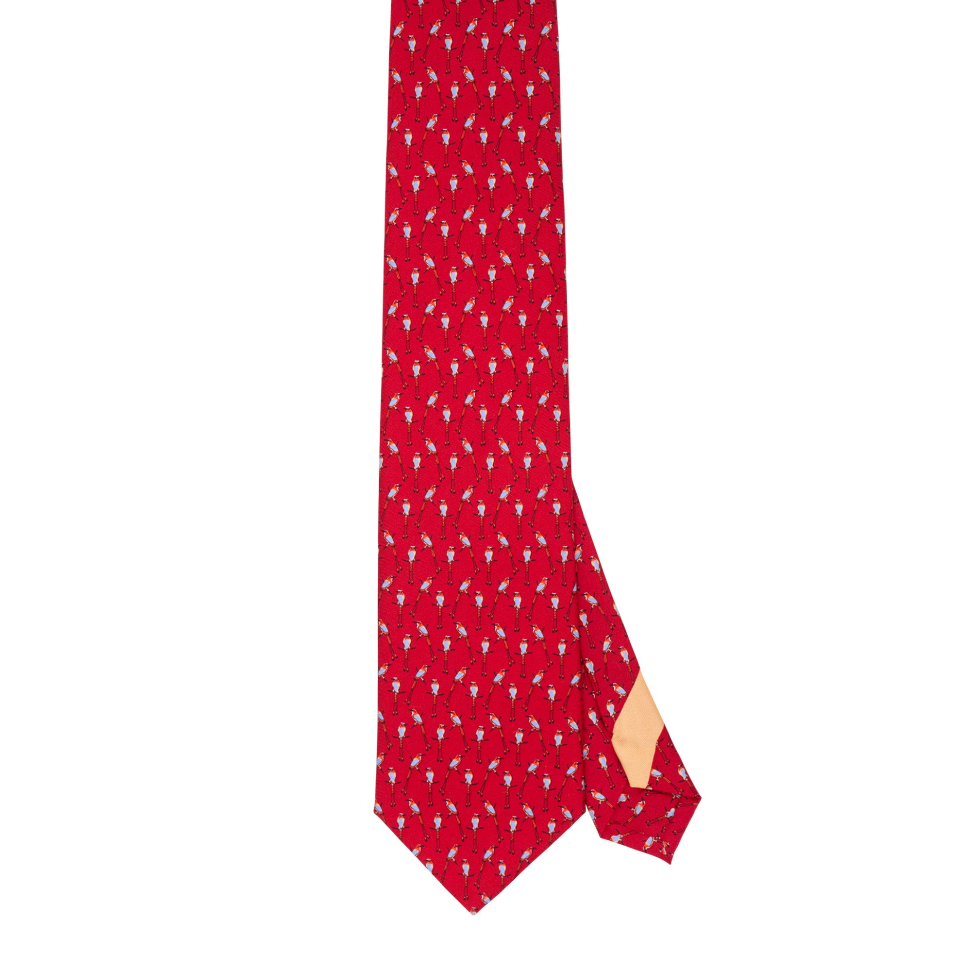 Corbata Torogoz