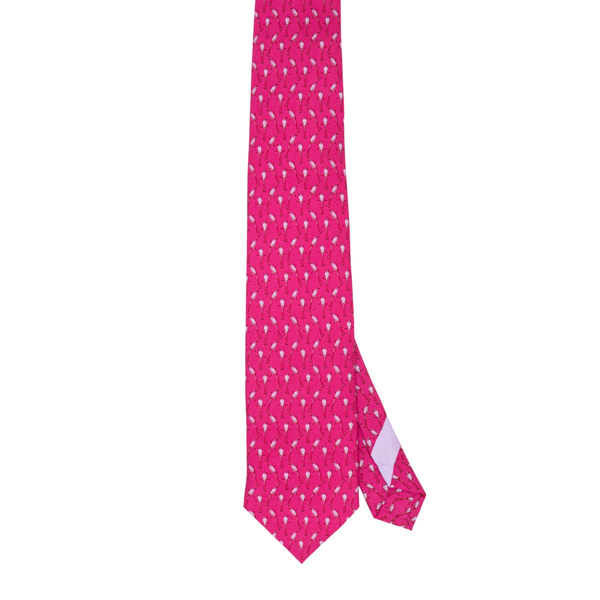 Corbata Torogoz