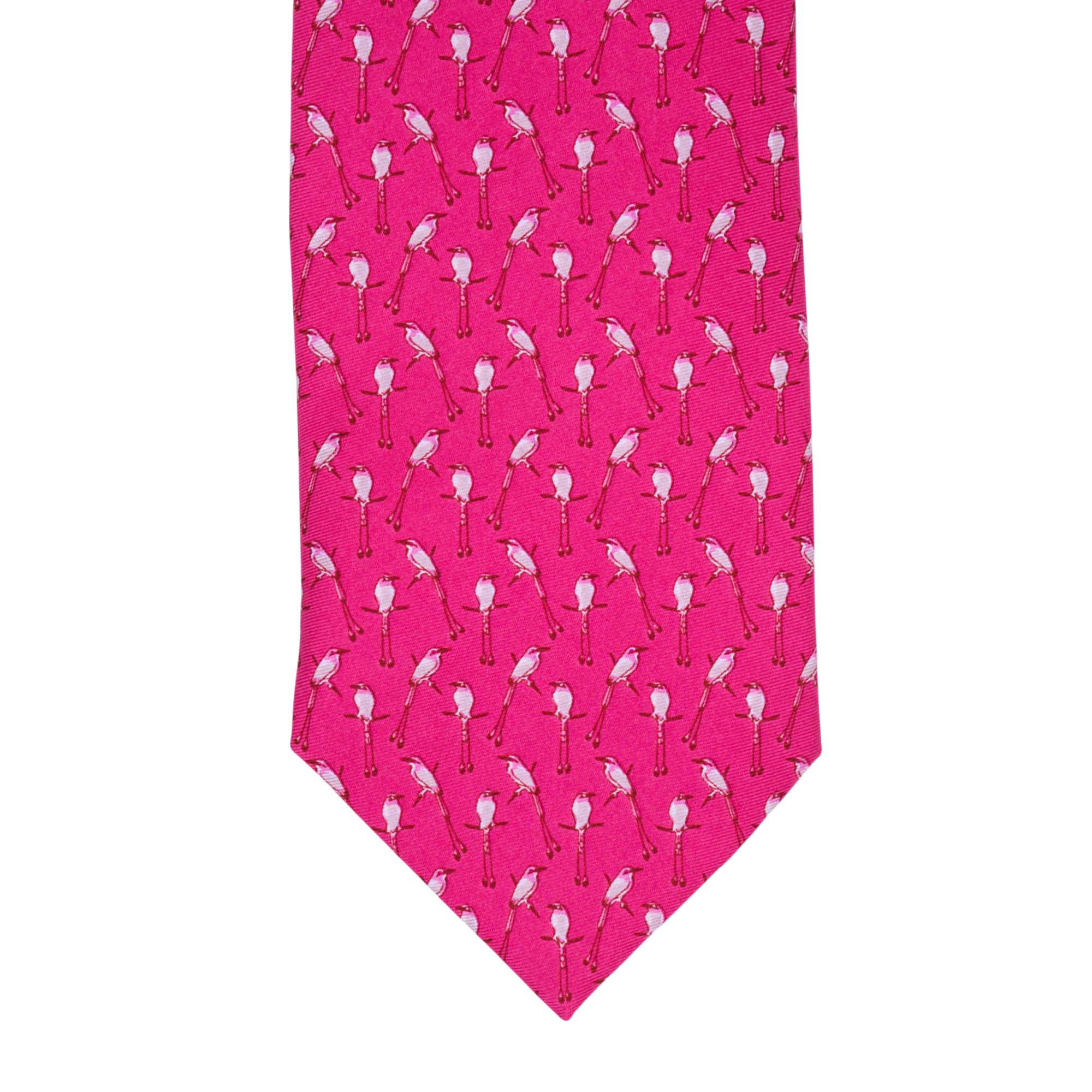 Corbata Torogoz