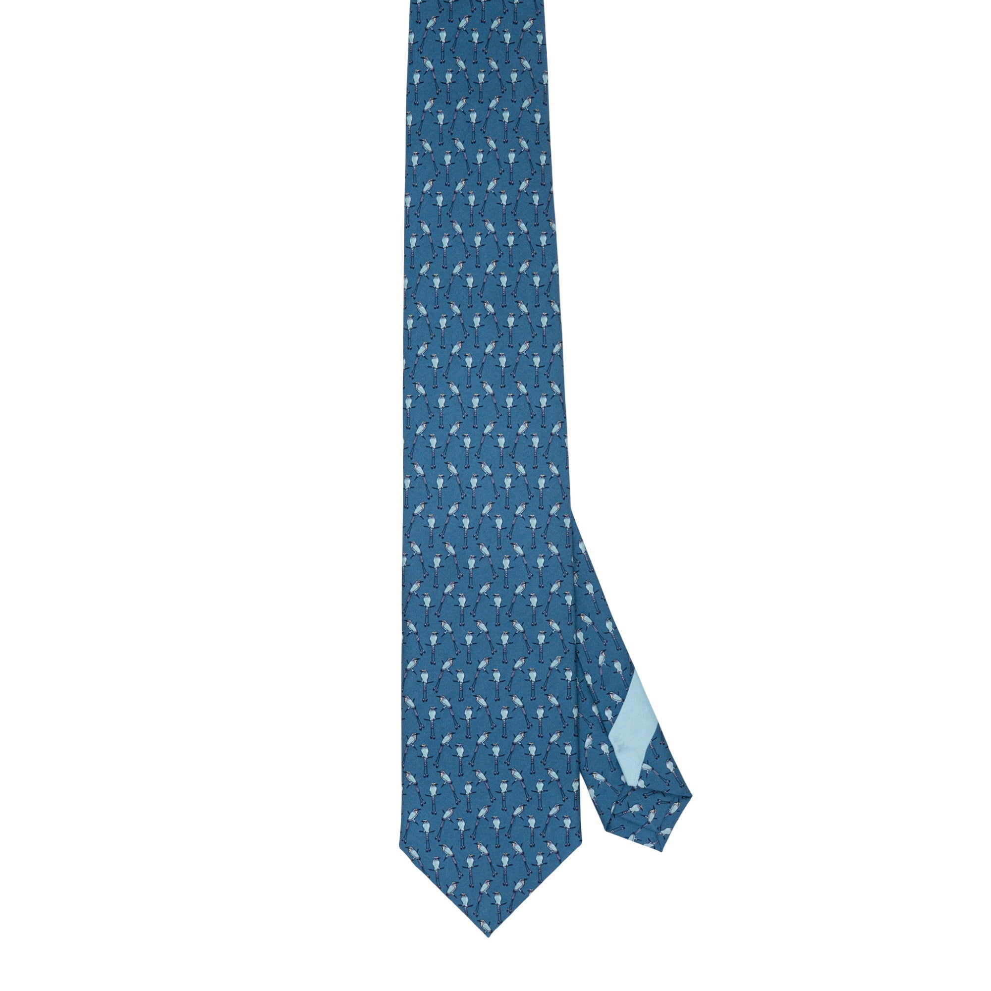 Corbata Torogoz