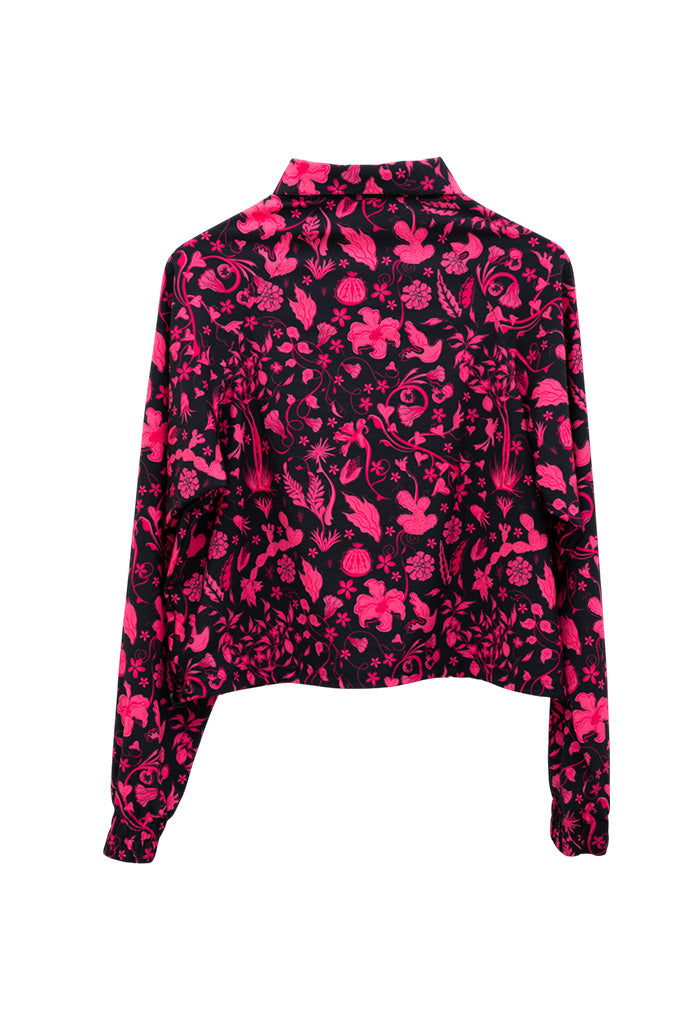 Rompe Vientos Muyal Tesoros de la Tierra